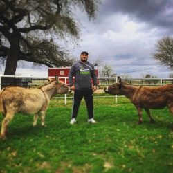 A client at Ranch house Recovery standing in between two animals with a beautiful sky in the background.